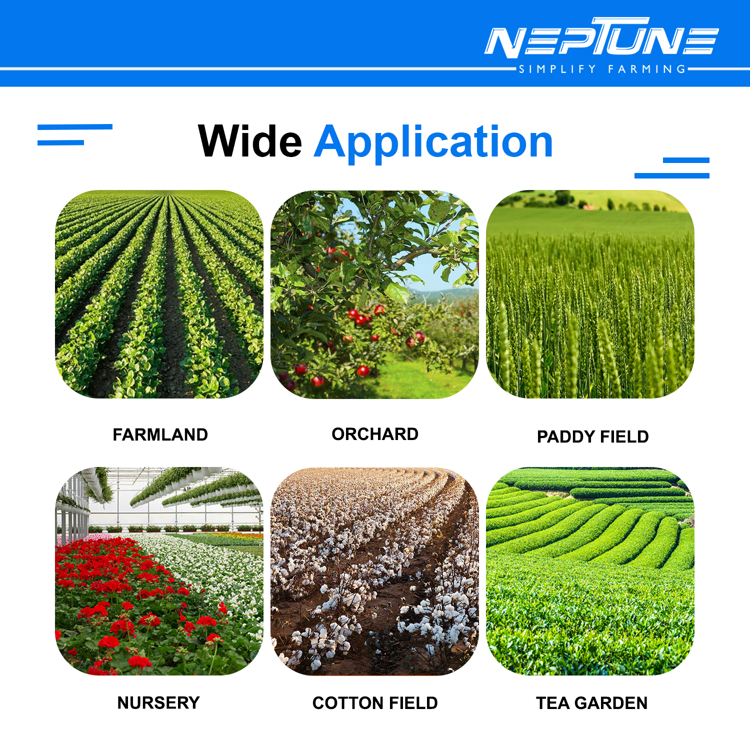 Neptune Hariyali-08, Knapsack Manual Hand Operated Garden Sprayer 16 Liter Suitable For Garden, Agriculture Spraying - Image 6